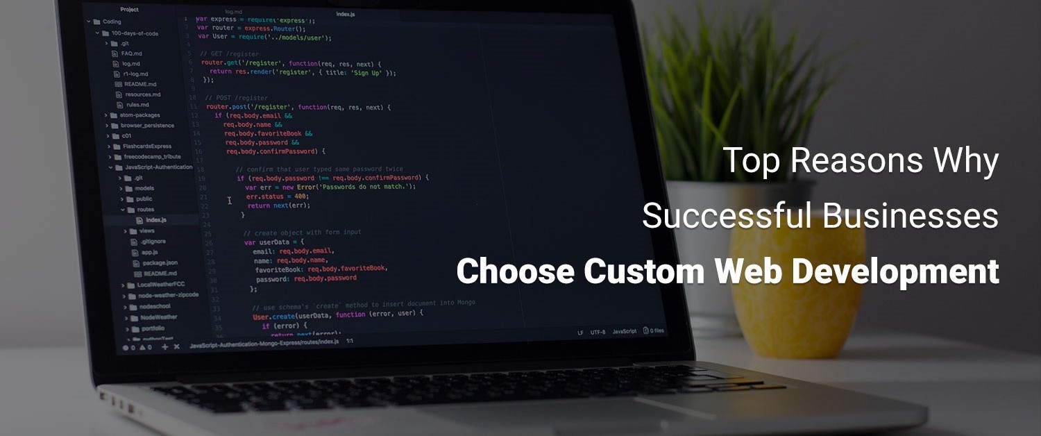top-13-reasons-why-successful-businesses-choose-custom-web-development