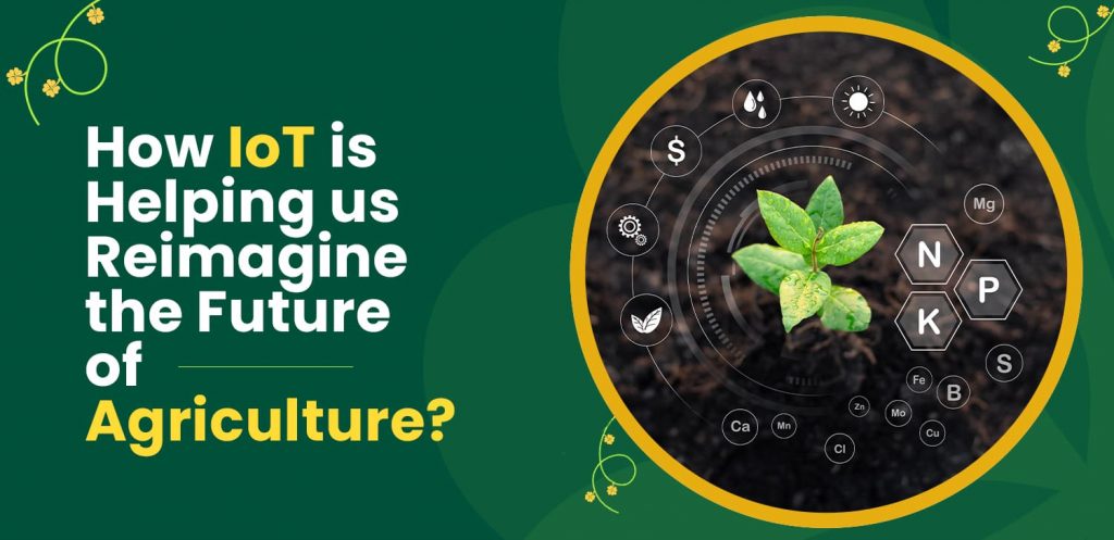 How-IoT-is-Helping-us-Reimagine-the-Future-of-Agriculture
